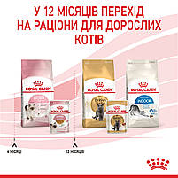 Вологий корм для кошенят ROYAL CANIN KITTEN IN JELLY 0.085 кг, 0.085 кг, фото 9