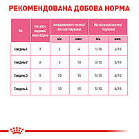 Молоко для новонароджених кошенят ROYAL CANIN BABYCAT MILK 0.3 кг, 0.3 кг, фото 6