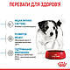 Корм для цуценят малих порід ROYAL CANIN MINI PUPPY 2.0 кг, фото 4