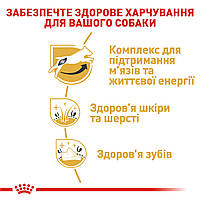 Корм для дорослих собак ROYAL CANIN JACK RUSSEL ADULT 7.5 кг, 7.5 кг, фото 5