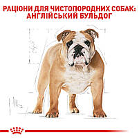 Корм для собак породи Англійський бульдог ROYAL CANIN BULLDOG ADULT 3.0 кг, фото 3