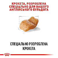 Корм для собак породи Англійський бульдог ROYAL CANIN BULLDOG ADULT 3.0 кг, фото 4