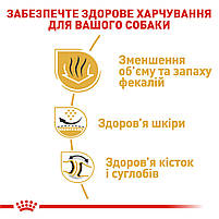 Корм для собак породи Англійський бульдог ROYAL CANIN BULLDOG ADULT 3.0 кг, фото 5