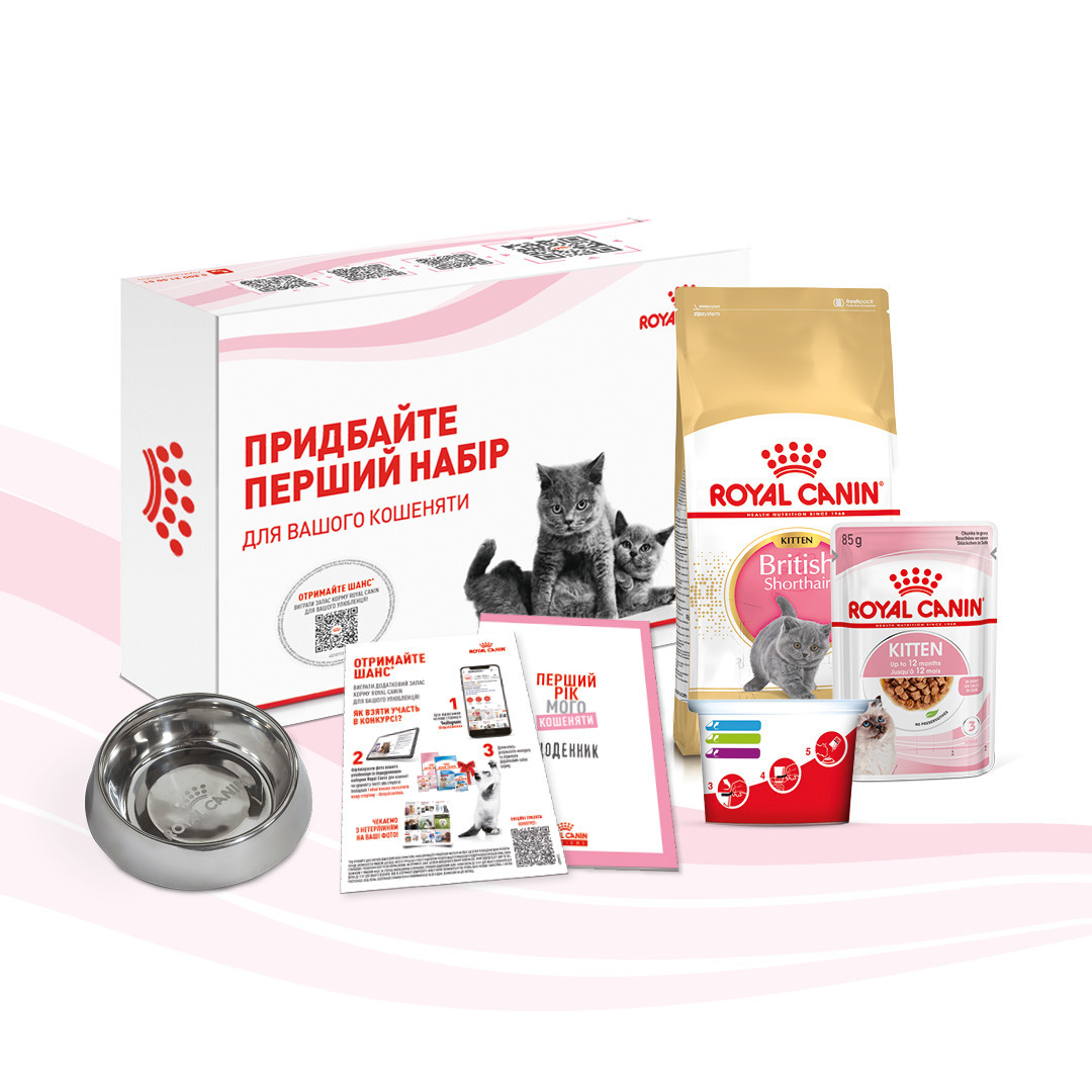 Перший набір для кошенят ROYAL CANIN KITTEN BRITISH SHORTHAIR 0.4 кг + вологий корм 0.085 кг, 0.485 кг