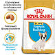 Корм для цуценят породи Французький бульдог ROYAL CANIN FRENCH BULLDOG PUPPY 1.0 кг, 1 кг, фото 2