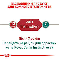Вологий корм для дорослих котів ROYAL CANIN INSTINCTIVE IN JELLY 0.085 кг, 0.085 кг, фото 4