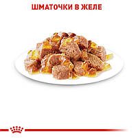 Вологий корм для дорослих котів ROYAL CANIN INSTINCTIVE IN JELLY 0.085 кг, 0.085 кг, фото 6