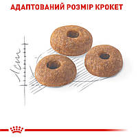 Корм для домашніх і вуличних котів ROYAL CANIN FIT 2.0 кг, фото 4