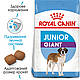 Корм для молодих собак гігантських порід ROYAL CANIN GIANT JUNIOR (джуніор) 15.0 кг, 15 кг, фото 2