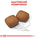 Корм для молодих собак гігантських порід ROYAL CANIN GIANT JUNIOR (джуніор) 15.0 кг, 15 кг, фото 3