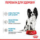 Вологий корм для цуценят ROYAL CANIN XSMALL PUPPY 0.085 кг, 0.085 кг, фото 3