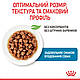 Вологий корм для цуценят ROYAL CANIN XSMALL PUPPY 0.085 кг, 0.085 кг, фото 4