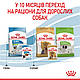 Вологий корм для цуценят ROYAL CANIN XSMALL PUPPY 0.085 кг, 0.085 кг, фото 8