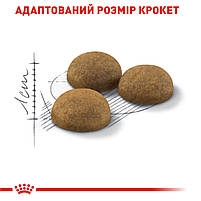 Корм для домашніх довгошерстих котів ROYAL CANIN INDOOR LONGHAIR 2.0 кг, 2 кг, фото 4