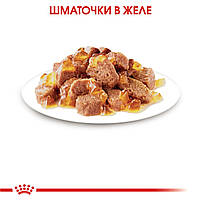 Вологий корм для дорослих стерилізованих котів ROYAL CANIN STERILISED IN JELLY 0.085 кг, 0.085 кг, фото 5