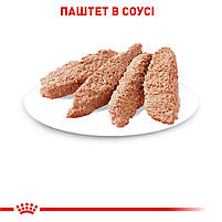 Вологий корм для дорослих котів ROYAL CANIN INSTINCTIVE LOAF 0.085 кг, 0.085 кг, фото 5