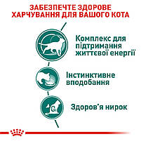 Вологий корм для дорослих котів ROYAL CANIN INSTINCTIVE 7+ (віком від 7 років) 0.085 кг, 0.085 кг, фото 5