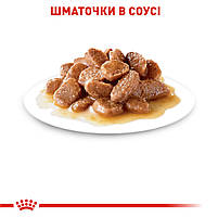 Вологий корм для дорослих котів ROYAL CANIN INSTINCTIVE 7+ (віком від 7 років) 0.085 кг, 0.085 кг, фото 6