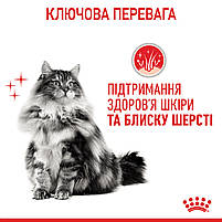 Вологий корм для дорослих котів ROYAL CANIN HAIR&SKIN CARE IN JELLY 0.085 кг, 0.085 кг, фото 6