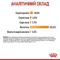 Вологий корм для дорослих котів ROYAL CANIN HAIR&SKIN CARE IN JELLY 0.085 кг, 0.085 кг, фото 8