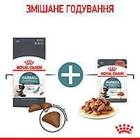 Вологий корм для дорослих котів ROYAL CANIN HAIRBALL CARE 0.085 кг, 0.085 кг, фото 10