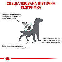 Корм для дорослих собак ROYAL CANIN SATIETY WEIGHT MANAGEMENT DOG 12.0 кг, фото 4