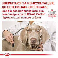 Корм для дорослих собак ROYAL CANIN SATIETY WEIGHT MANAGEMENT DOG 12.0 кг, фото 10