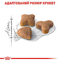 Корм для дорослих котів з чутливою травною системою ROYAL CANIN SENSIBLE 2.0 кг, фото 5
