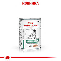 Вологий корм для дорослих собак ROYAL CANIN DIABETIC SPECIAL LC DOG Cans 0.41 кг, 0.41 кг, фото 2