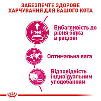 Корм для котів ROYAL CANIN EXIGENT PROTEIN 2.0 кг, вибагливих до поживності раціону, 2 кг, фото 4