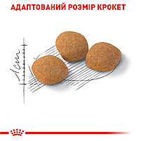 Корм для котів ROYAL CANIN EXIGENT PROTEIN 2.0 кг, вибагливих до поживності раціону, 2 кг, фото 5