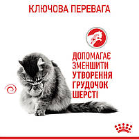 Корм для котів ROYAL CANIN HAIRBALL CARE 2.0 кг, рекомендований для виведення грудок шерсті, фото 5