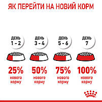 Корм для котів ROYAL CANIN HAIRBALL CARE 2.0 кг, рекомендований для виведення грудок шерсті, фото 10