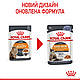 Вологий корм для дорослих котів ROYAL CANIN HAIR&SKIN CARE IN JELLY 0.085 кг, 0.085 кг, фото 3