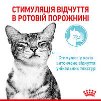 Вологий корм для дорослих котів ROYAL CANIN SENSORY FEEL GRAVY шматочки у соусі 85г, стимулює відчуття корму, 0.085 кг, фото 4