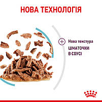 Вологий корм для дорослих котів ROYAL CANIN SENSORY FEEL GRAVY шматочки у соусі 85г, стимулює відчуття корму, 0.085 кг, фото 6