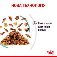 Вологий корм для дорослих котів ROYAL CANIN SENSORY FEEL JELLY шматочки у желе 85г, стимулює відчуття корму, 0.085 кг, фото 6