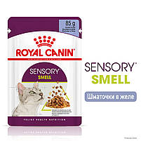 Вологий корм для дорослих котів ROYAL CANIN SENSORY SMELL JELLY 0.085 кг, стимулює нюхові рецептори, 0.085 кг, фото 3