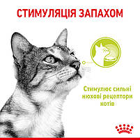 Вологий корм для дорослих котів ROYAL CANIN SENSORY SMELL JELLY 0.085 кг, стимулює нюхові рецептори, 0.085 кг, фото 4