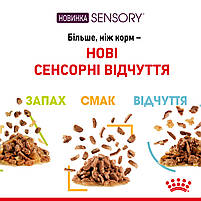 Вологий корм для дорослих котів ROYAL CANIN SENSORY SMELL JELLY 0.085 кг, стимулює нюхові рецептори, 0.085 кг, фото 5