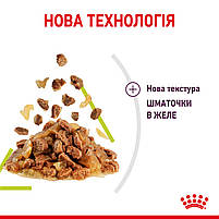 Вологий корм для дорослих котів ROYAL CANIN SENSORY SMELL JELLY 0.085 кг, стимулює нюхові рецептори, 0.085 кг, фото 6