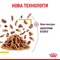 Вологий корм для дорослих котів ROYAL CANIN SENSORY TASTE GRAVY 85 г, шматочки у соусі, cтимулює смак, 0.085 кг, фото 6