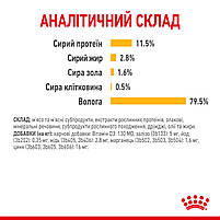 Вологий корм для дорослих котів ROYAL CANIN SENSORY TASTE GRAVY 85 г, шматочки у соусі, cтимулює смак, 0.085 кг, фото 8