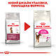 Корм для котів ROYAL CANIN EXIGENT AROMA 2.0 кг, вибагливих до аромату корму, 2 кг, фото 7