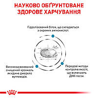 Корм для дорослих котів ROYAL CANIN ANALLERGENIC CAT 2.0 кг, 2 кг, фото 4