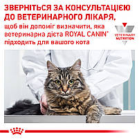Корм для дорослих котів ROYAL CANIN HYPOALLERGENIC CAT 2.5 кг, фото 8