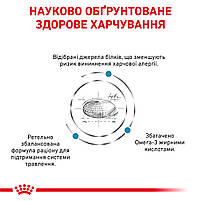 Корм для дорослих котів ROYAL CANIN SENSITIVITY CONTROL CAT 0.4 кг, 0.4 кг, фото 4