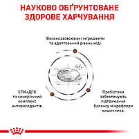 Корм для дорослих котів ROYAL CANIN HEPATIC CAT 2.0 кг, фото 4