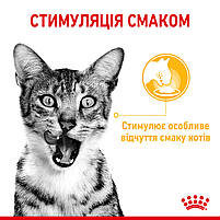 Вологий корм для дорослих котів ROYAL CANIN SENSORY TASTE JELLY 0.085 кг, шматочки у желе, cтимулює смак, 0.085 кг, фото 4