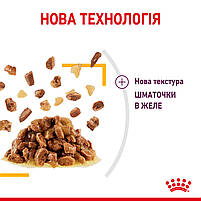 Вологий корм для дорослих котів ROYAL CANIN SENSORY TASTE JELLY 0.085 кг, шматочки у желе, cтимулює смак, 0.085 кг, фото 6